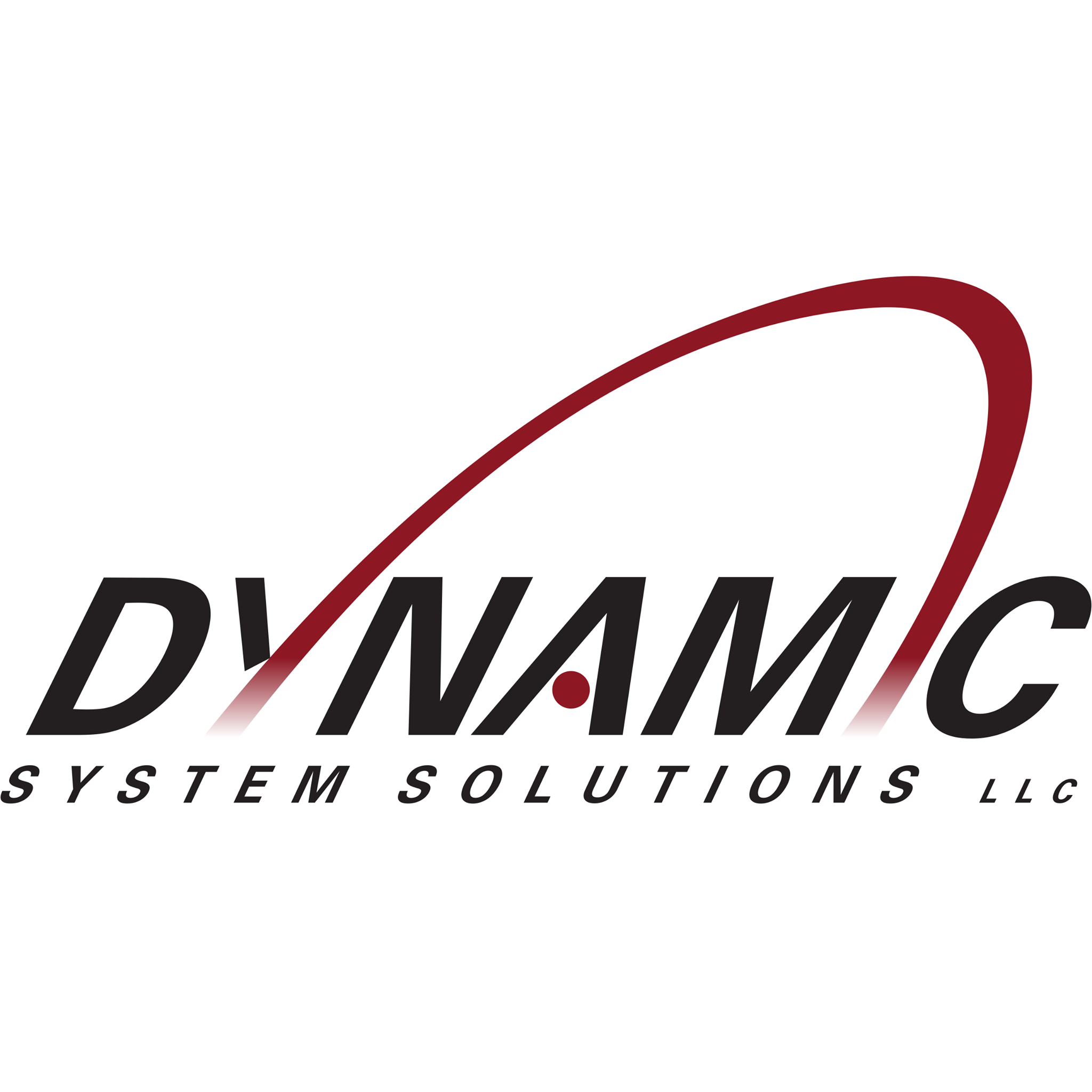 Dynamic System Solutions LLC