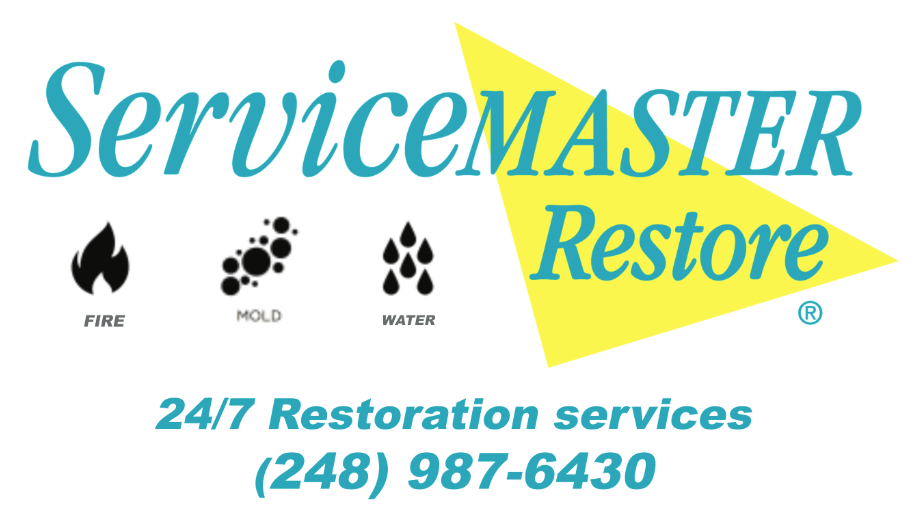 ServiceMaster by DSM