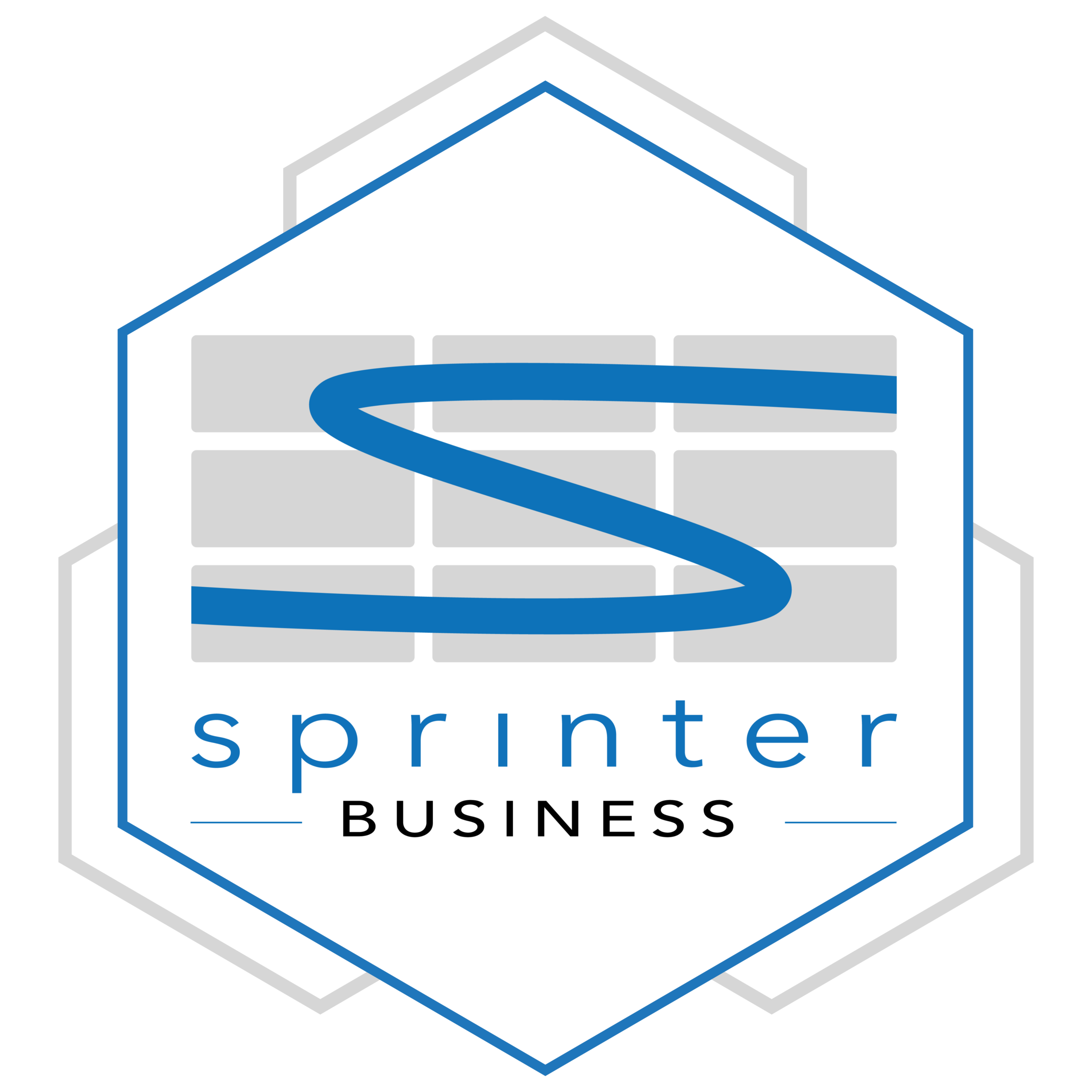 Sprinter Business